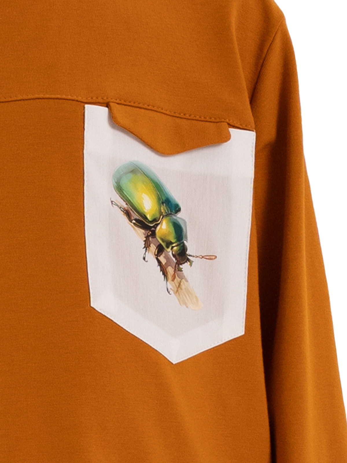 Джемпер для мальчика О37178 (коричневый)