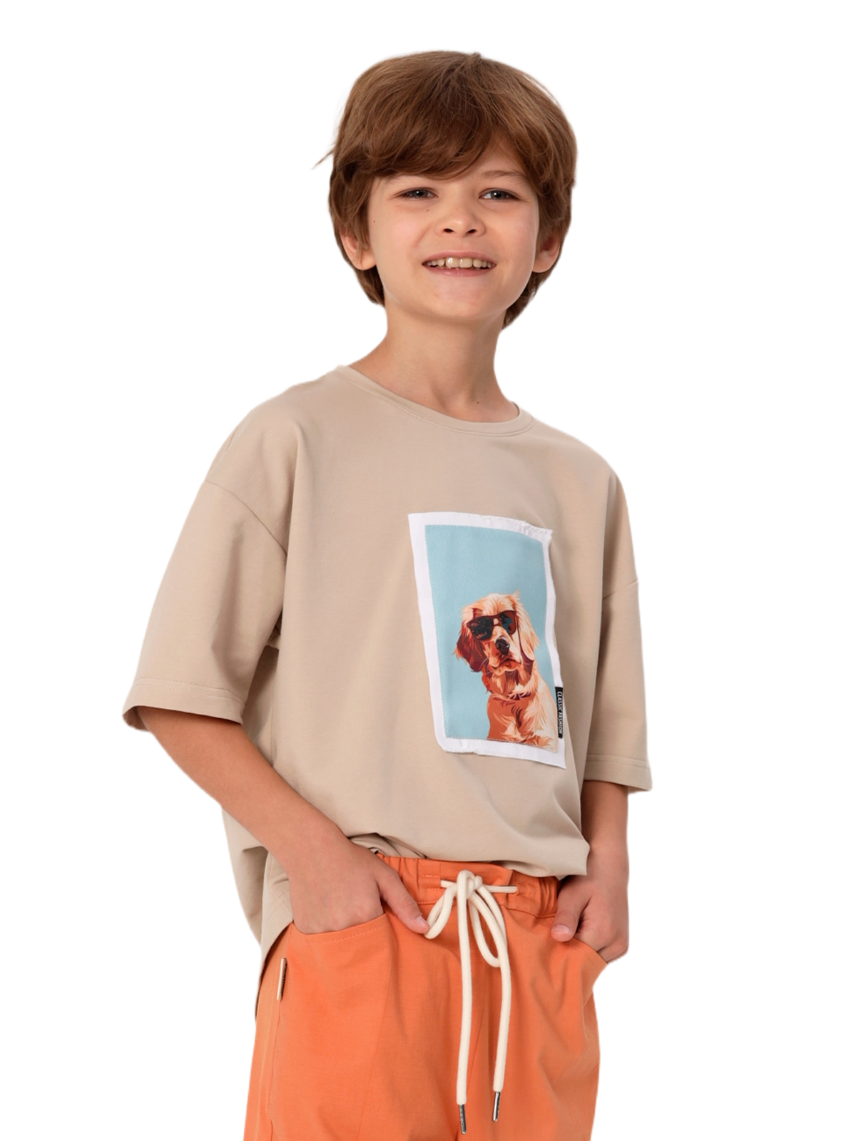 Джемпер для мальчика О47330 (коричневый)