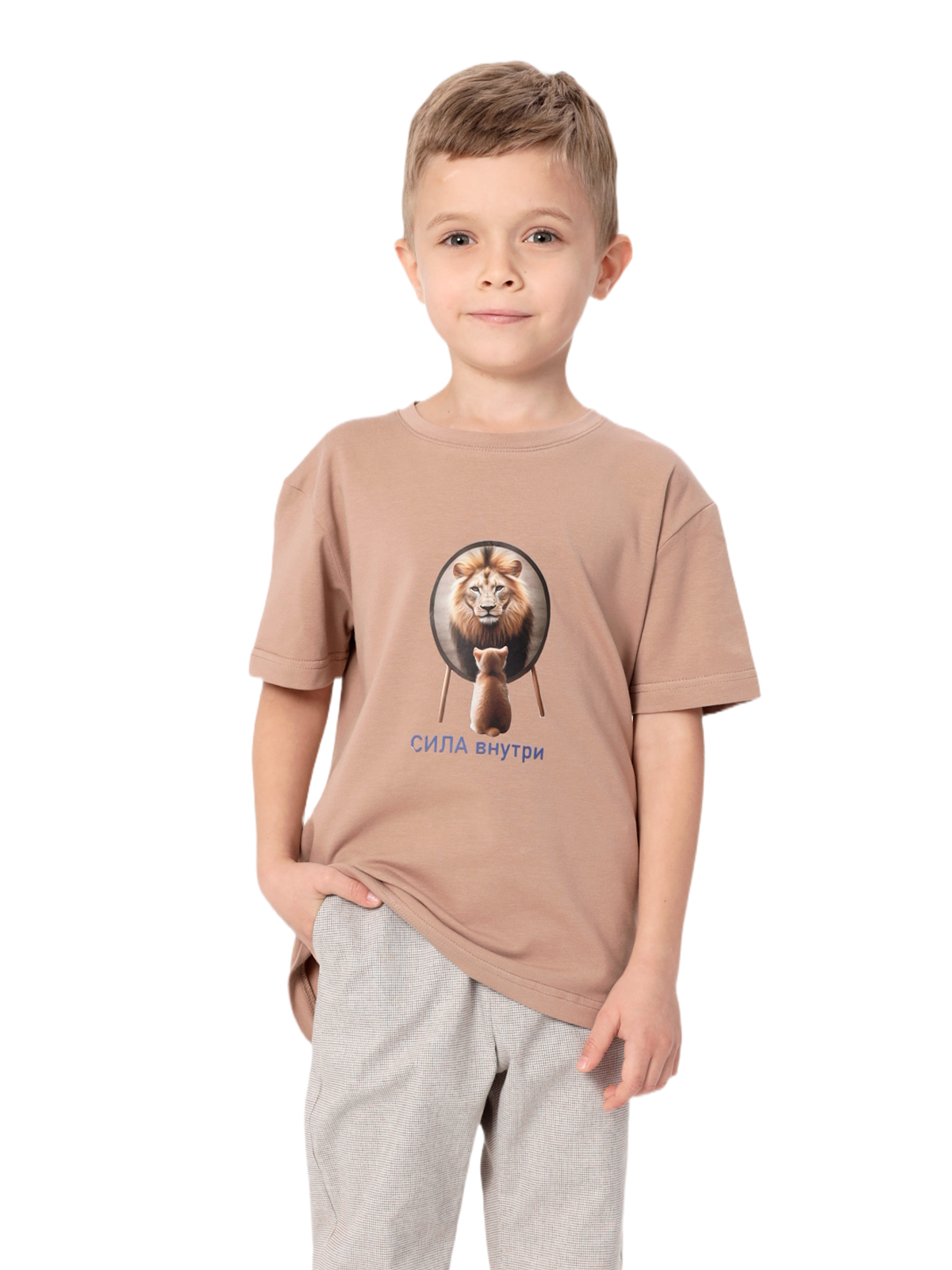 Джемпер для мальчика О47328 (коричневый)