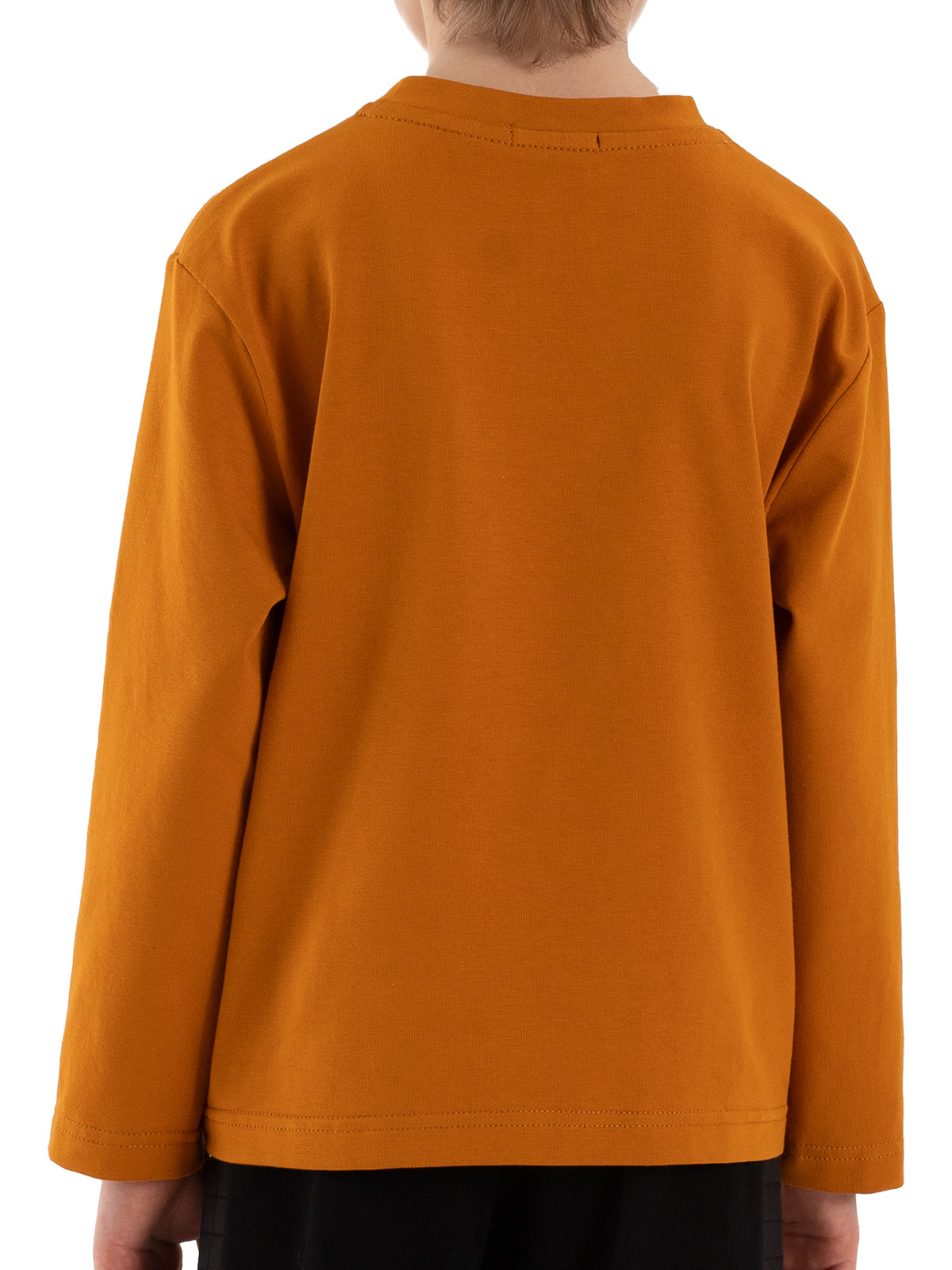 Джемпер для мальчика О37178 (коричневый)