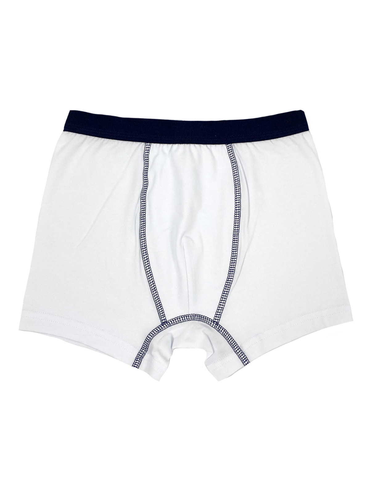 Трусы для мальчика 03085 (белый)