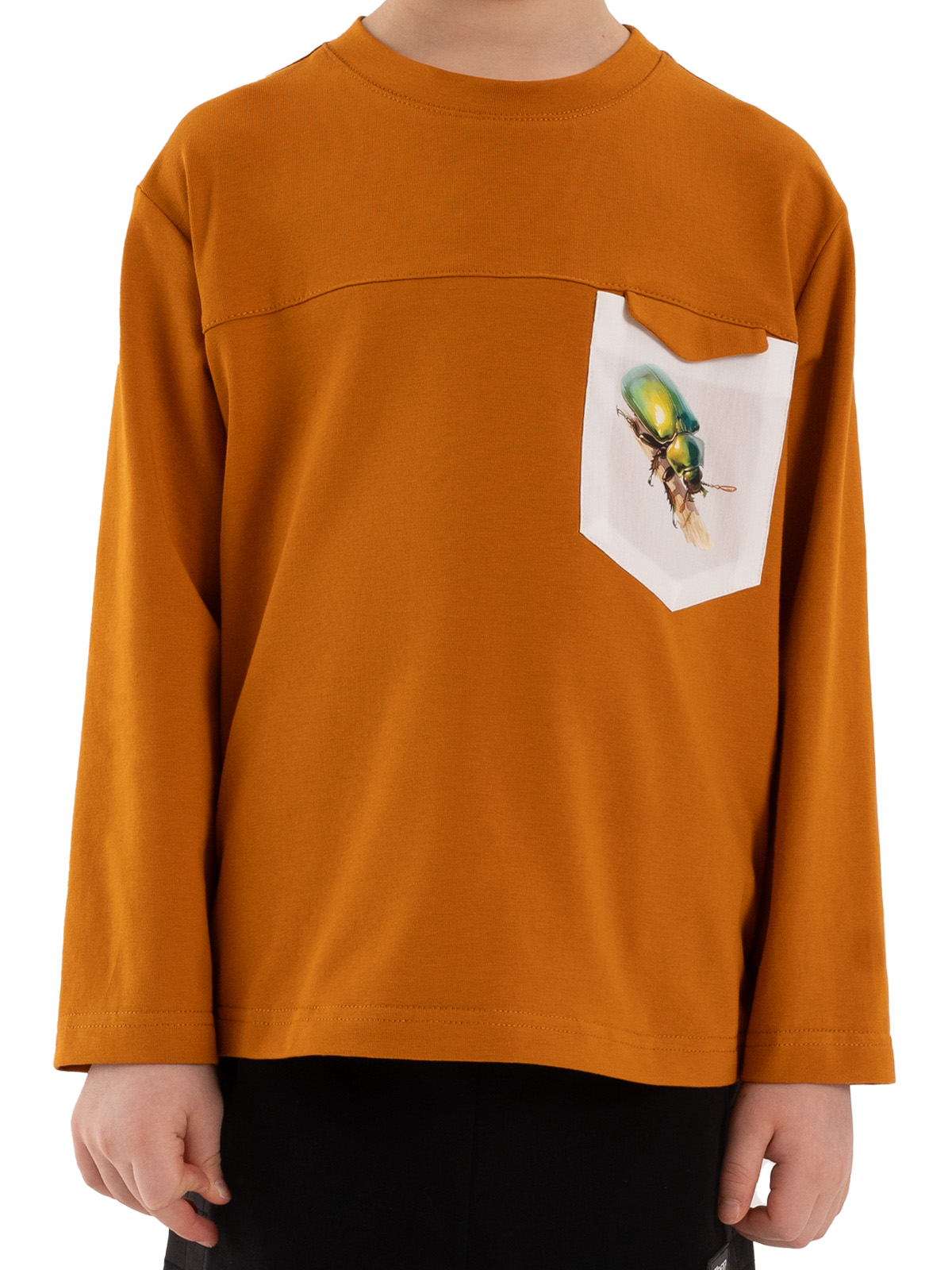 Джемпер для мальчика О37178 (коричневый)