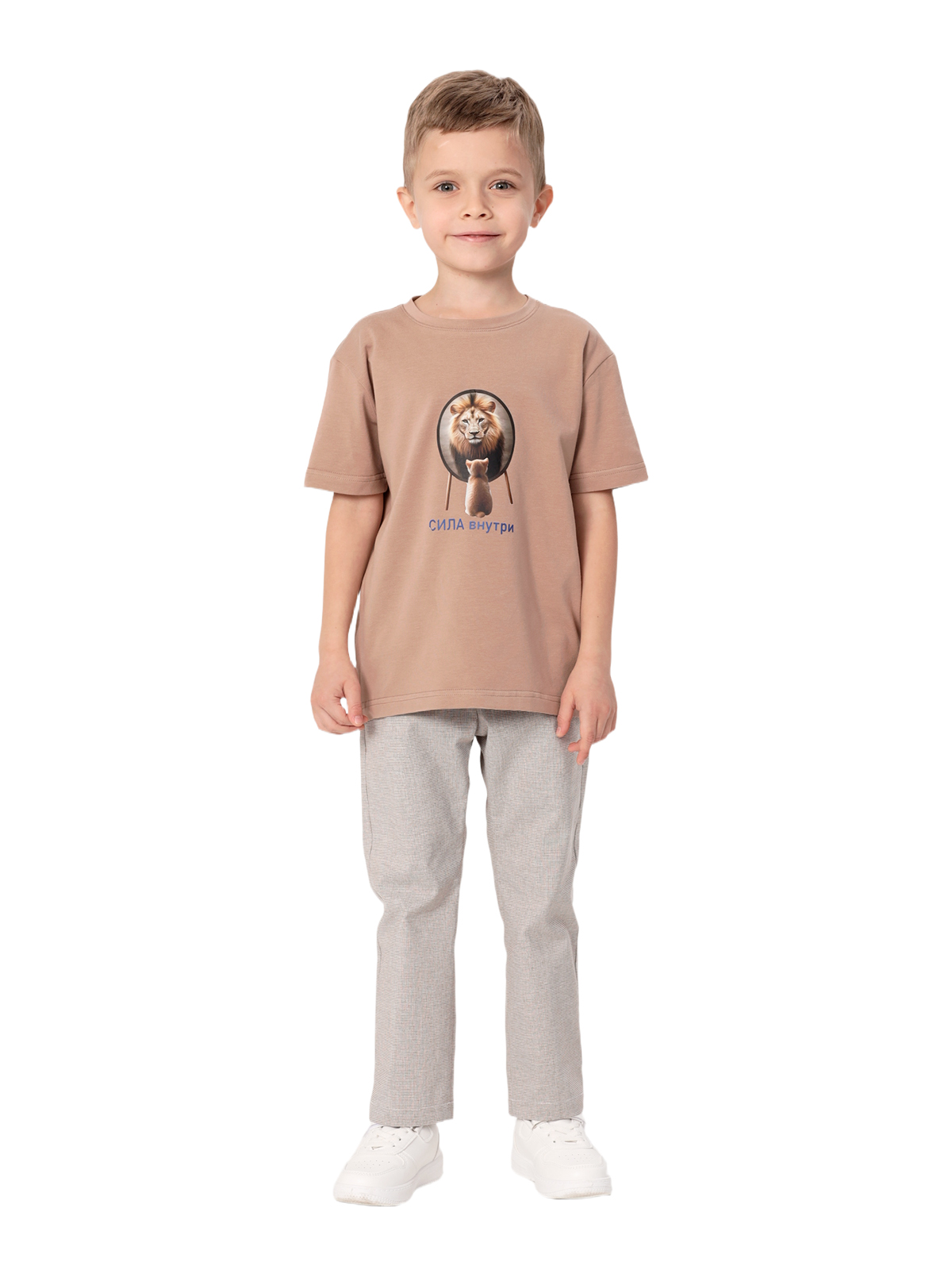 Джемпер для мальчика О47328 (коричневый)