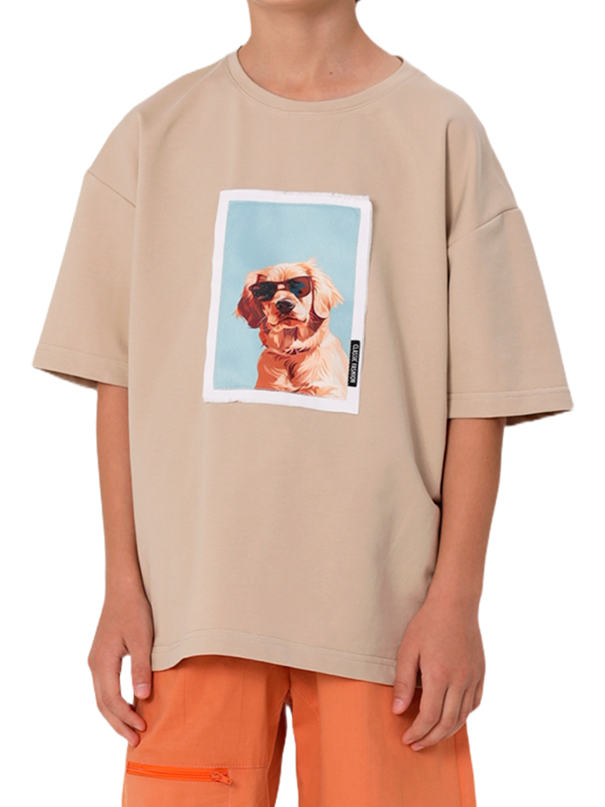 Джемпер для мальчика О47330 (коричневый)