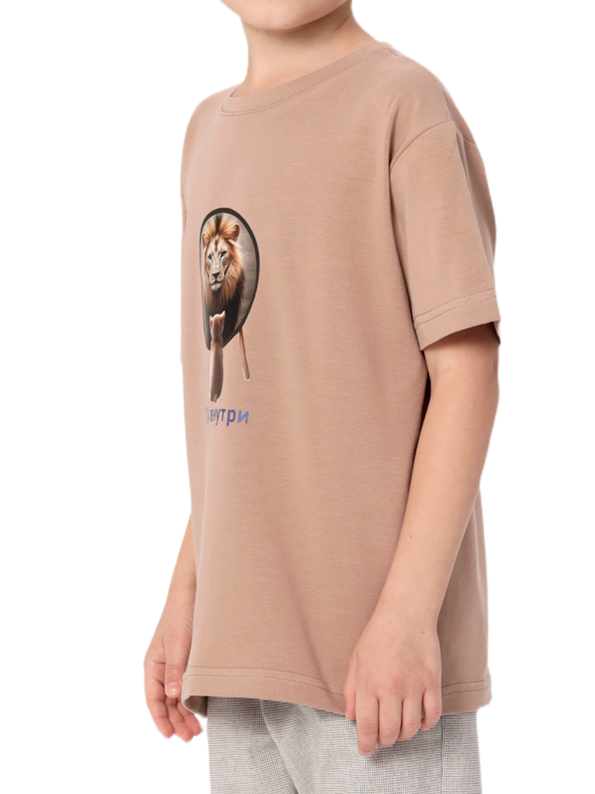 Джемпер для мальчика О47328 (коричневый)