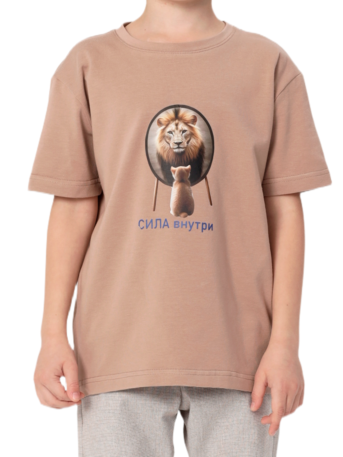 Джемпер для мальчика О47328 (коричневый)