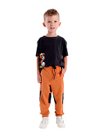 Брюки для мальчика О47325 (оранжевый)