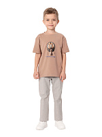 Джемпер для мальчика О47328 (коричневый)